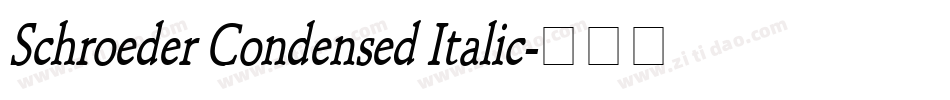 Schroeder Condensed Italic字体转换